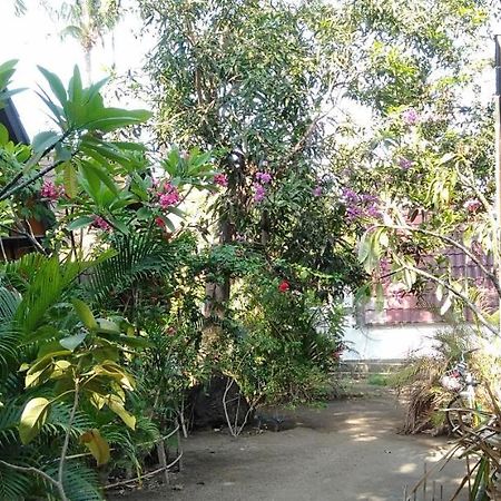 Hello Lumbung Homestay Gili Air Kültér fotó